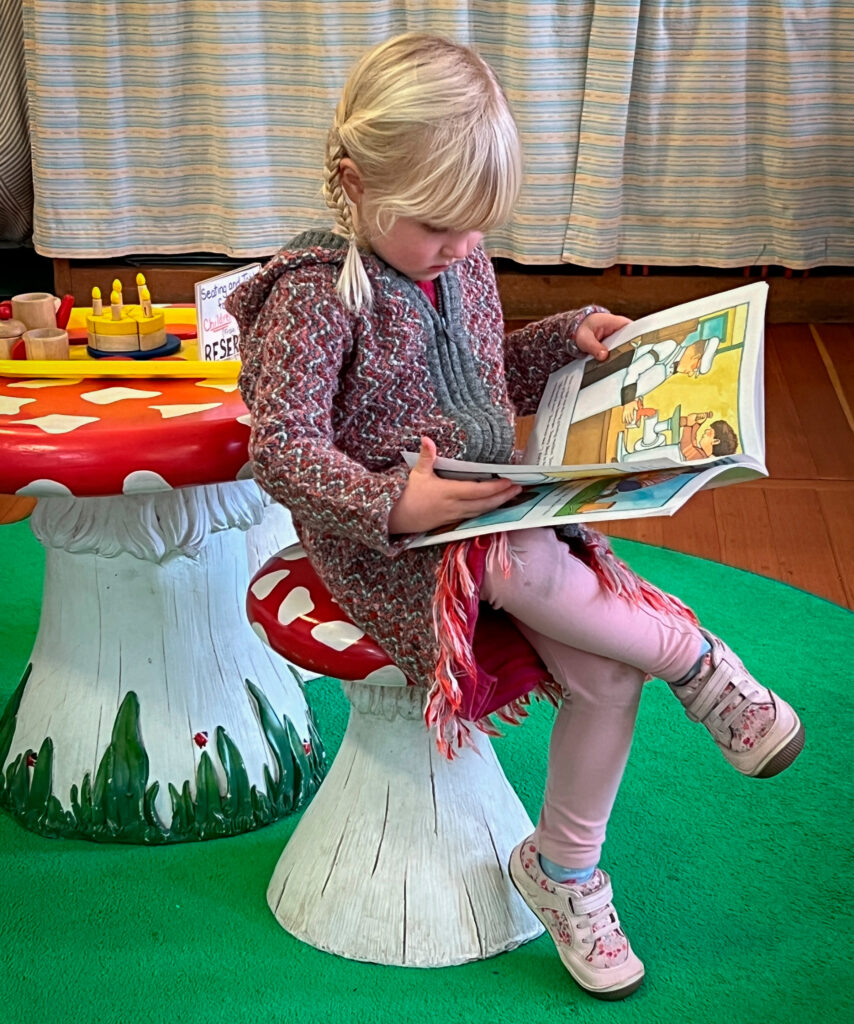 St Helena Preschool For All inc. - Books